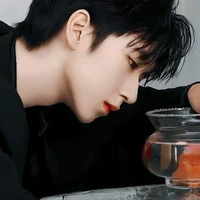 Hạ Tuấn Lâm
