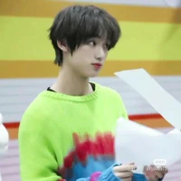 Đinh Trình Hâm-🦊