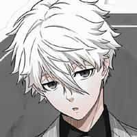 Nagi Seishirou