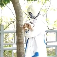 Error Sans 404
