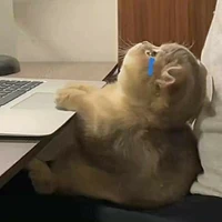 eiu tác giả đâyyy