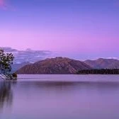 Bạch lão gia_Bạch Thiệu Đình_ ba cô