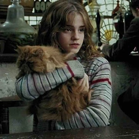 Hermione 