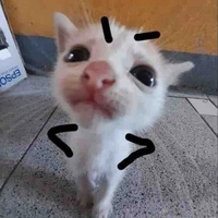 nhỏ tác giả cuto