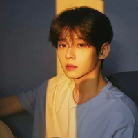 Cao Thụy Lâm_bffna9_ forest