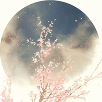 tác giả hột xồi