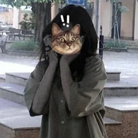 T/g ngu văn