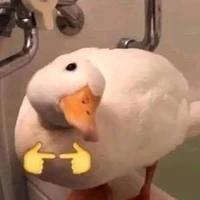 Kẻ ghét SE thích ngược