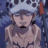 Trafalgar D Water Law 