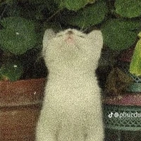 Tác giả 😚