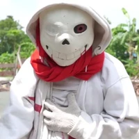 geno sans