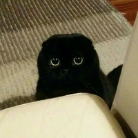 Mo chi
