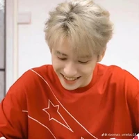 Nghiêm Hạo Tường