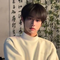 Lý Hạo Tần