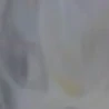 ?  ?  ?