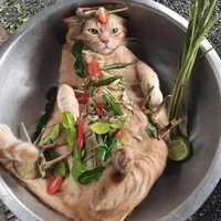 China+Việt Hòa+ Ame