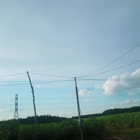 Trương An Hạ(tác giả)