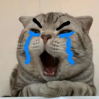 tao là đa nvp đéo bao giờ được yêu nữ9