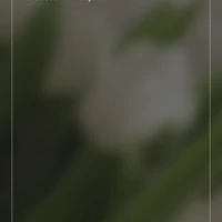 All