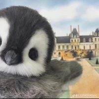 All - những người cần -