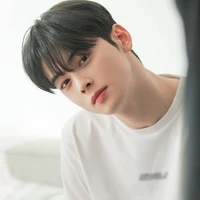 Cha Eun Woo