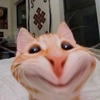 Tác giả lạ lùng