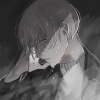 nvp nam