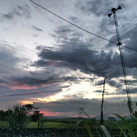 cả lớp
