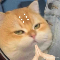Tác giả