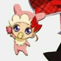 bebe
