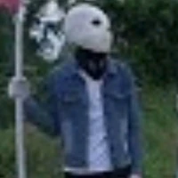 lost sans