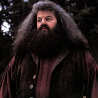 Rubeus Hagrid