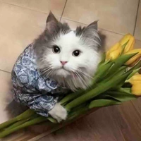 Tác giả đáng yêu 