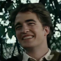 Cedric Diggory