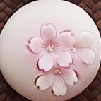 Art phụ