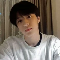 Lưu Diệu Văn