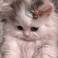 ❤Annie❤ - tác giả