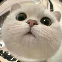 Hệ thống chính<Bin>