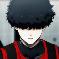 Nikko Ikki