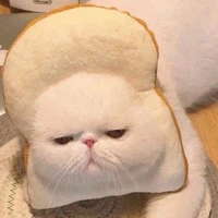TG ꫞