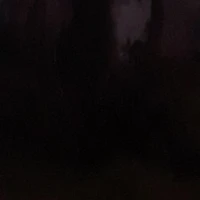 ？？？