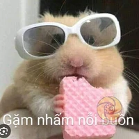 bà tác giả lắm chuyện