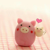 coan tác giả mất nết