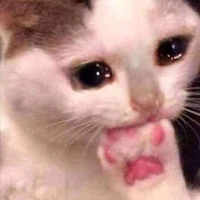 tác giả mệt mõiiz