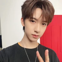 Hạ Tuấn Lâm