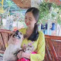Nô tì cao cấp