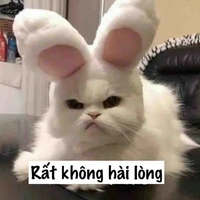 Nhỏ t/g 💦