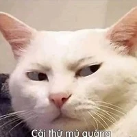 t/g mãi mê đam mỹ (hệ thống)