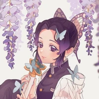 kochou shinobu