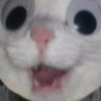 𝐍𝐢𝐞 ᥫᩣ